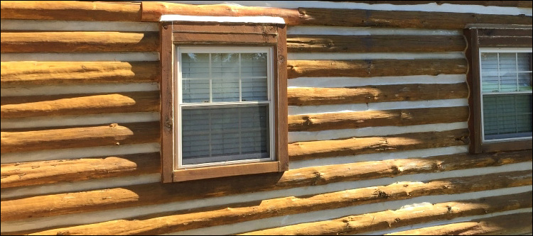 Log Home Whole Log Replacement  Salem City, Virginia