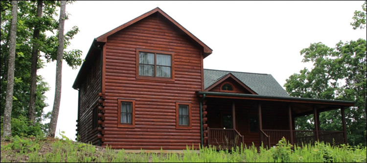 Professional Log Home Borate Application  Salem City, Virginia